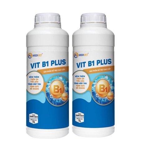 VIT B1 PLUS