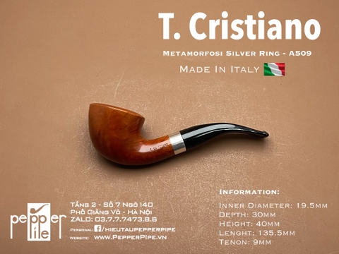 T. Cristiano Metamorfosi Shape A509