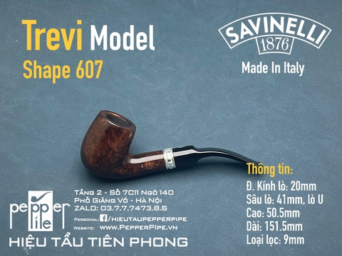 Savinelli Trevi Smooth Shape 607