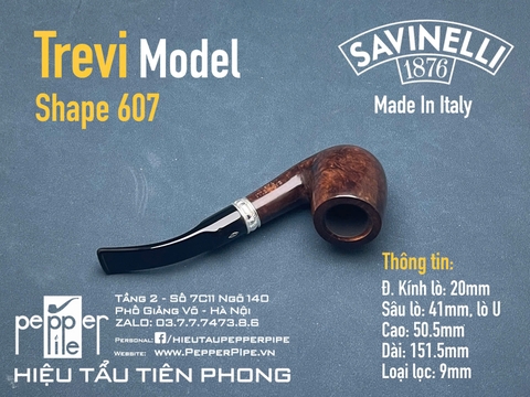 Savinelli Trevi Smooth Shape 607