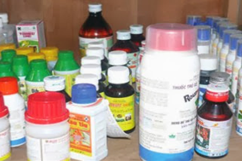 NGUYÊN TẮC 4 ĐÚNG TRONG VIỆC SỬ DỤNG THUỐC BẢO VỆ THỰC VẬT