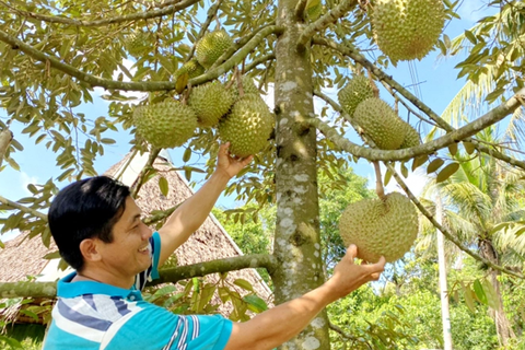NGUYÊN NHÂN VÀ CÁCH KHẮC PHỤC TÌNH TRẠNG BỂ GAI TRÊN TRÁI SẦU RIÊNG