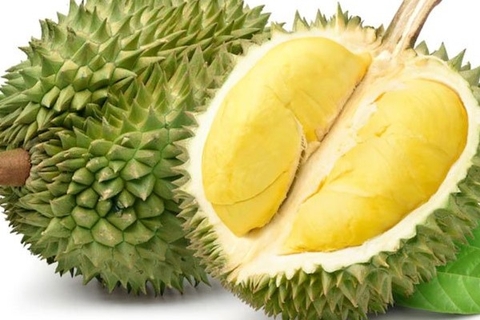 Giá Sầu Riêng Hôm Nay Mới Nhất Tại Các Khu Vực