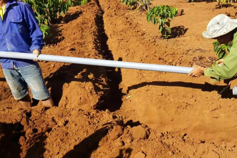 Cách chôn ống tưới cà phê hiệu quả, tối ưu hóa hiệu suất tưới