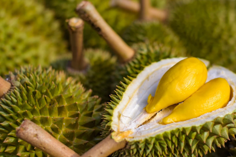 Nguyên Nhân Sầu Riêng Dày Vỏ: Hiểu Rõ Để Chọn Mua và Bảo Quản Đúng Cách