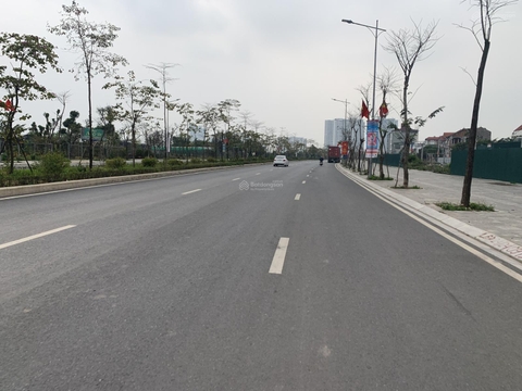 Trục chính Trâu Quỳ, Kinh doanh đỉnh mặt đường Lý Thánh Tông 55,9m2