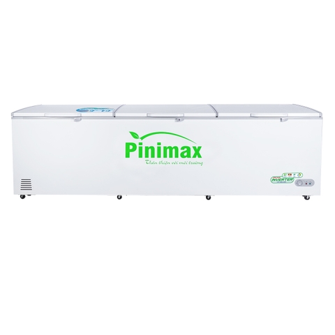 Tủ đông Pinimax PNM139AF3