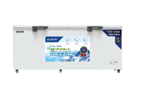 Tủ đông dung tích lớn Hòa Phát HPF AD6544 544 lít