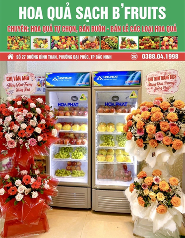 3 mẫu tủ mát trực tiếp 1 cánh , có đống tuyết giá rẻ nhất