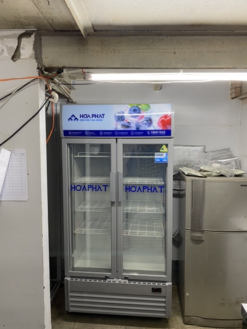 Tủ mát trưng bày Hòa Phát 1 ngăn 2 cánh HSR D6526 800 lít chống đông tuyết