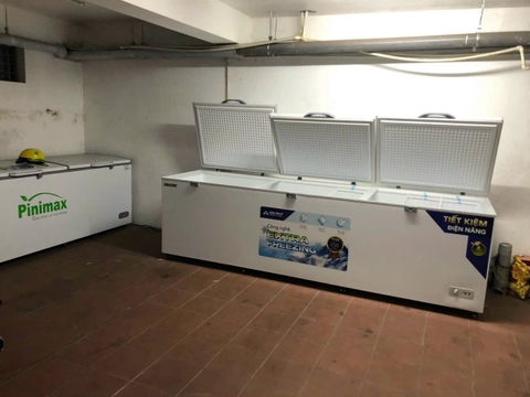 Tủ đông dung tích lớn Hòa Phát 1 ngăn 3 cánh HPF AD61190 1700 Lít DÀI 3,1 MÉT