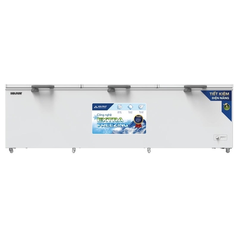 Tủ đông Hòa Phát 1190 Lít HPF AD61190