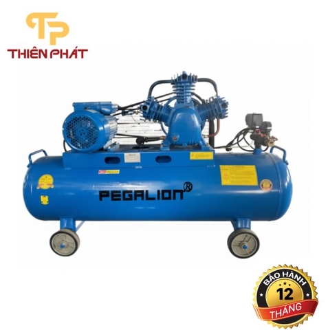 MÁY NÉN KHÍ DÂY ĐAI PEGALION TM-W-0.36/12.5-120L
