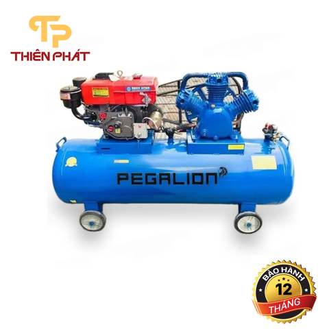 MÁY NÉN KHÍ CHẠY BẰNG DẦU DIESEL PEGALION TM-W-1.0/8-500L