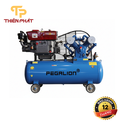 MÁY NÉN KHÍ CHẠY BẰNG DẦU DIESEL PEGALION TM-V-1.05/12.5-330L