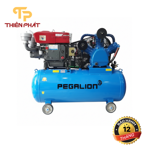 MÁY NÉN KHÍ CHẠY BẰNG DẦU DIESEL PEGALION TM-W-1.6/8-500L