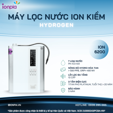 ION 6200