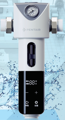 Bộ lọc thô đầu nguồn Pentair C500