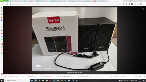 Loa 2.0 LEERFEI YST-1017 (gỗ)