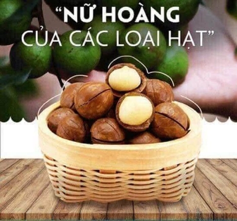 CÓ BAO NHIÊU DINH DƯỠNG TRONG 10 HẠT MACCA