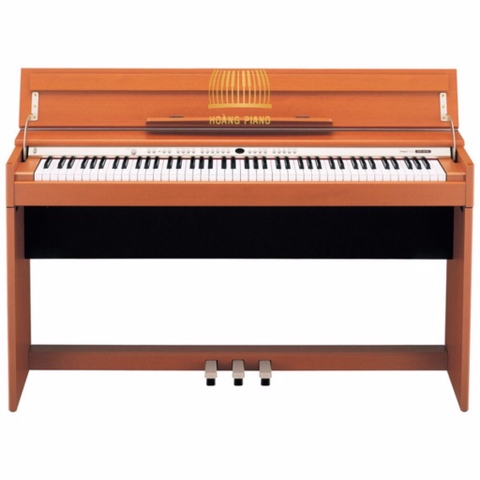 Đàn Piano điện RoLand DP-970