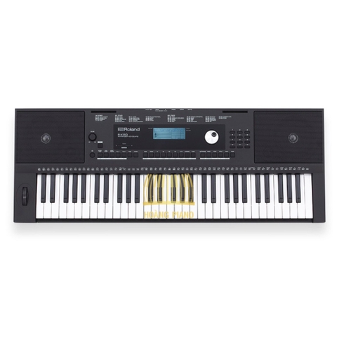 Đàn organ Roland E-X20