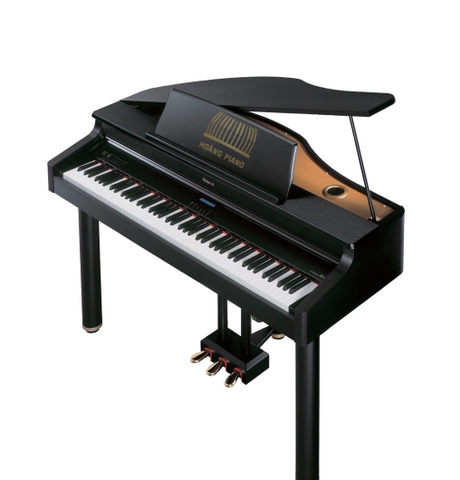 Đàn piano điện Roland RG-3F