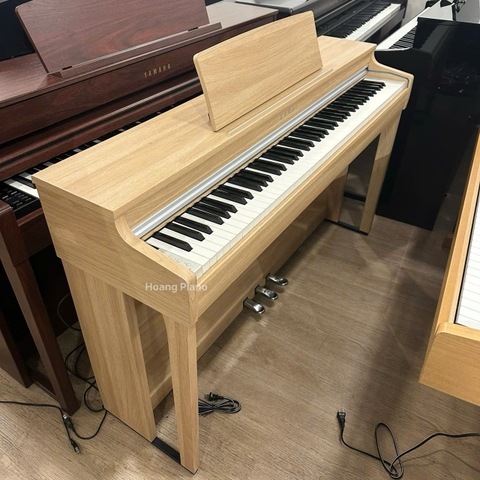 ĐÀN PIANO ĐIỆN CN-29