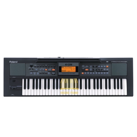 Đàn organ Roland E09