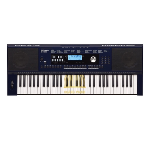 Đàn organ Roland E-X30