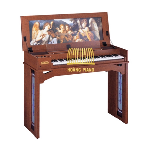 Đàn organ Roland C-30