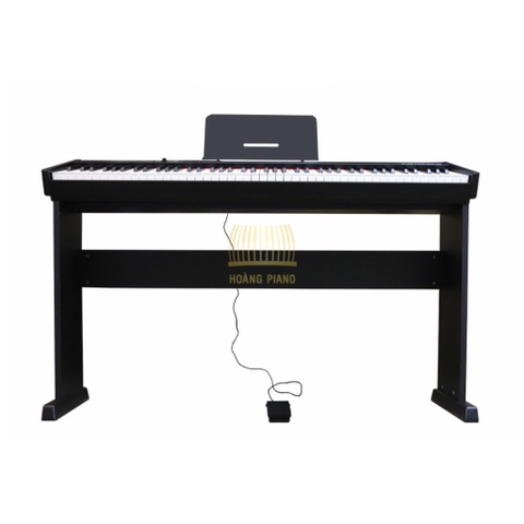 Piano điện Maxwell 200