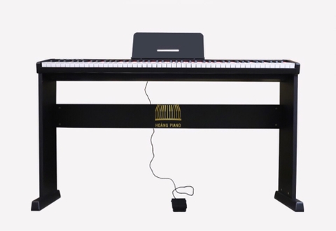 Piano điện Maxwell 100