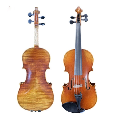 Đàn Violin Carlo Giordan Vân Vẽ Size 4/4
