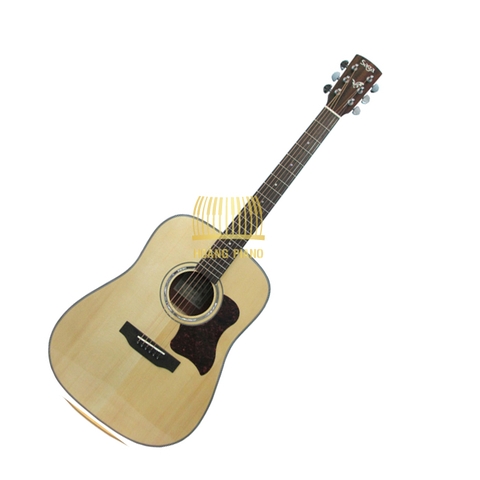 Guitar thùng Saga D10S