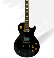 GUITAR ĐIỆN HOLLY