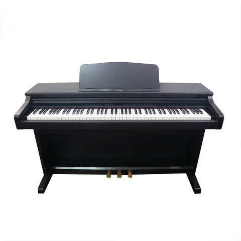 Đàn Piano Điện technics SX-PX105