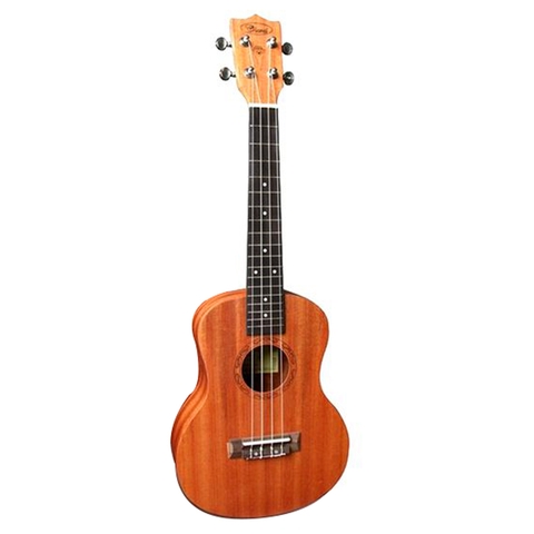 UKULELE SOPRANO CHARD U-24E