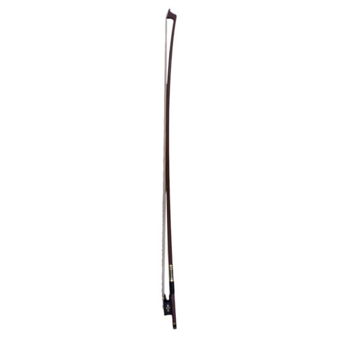 Vĩ Đàn Violin L1 AC