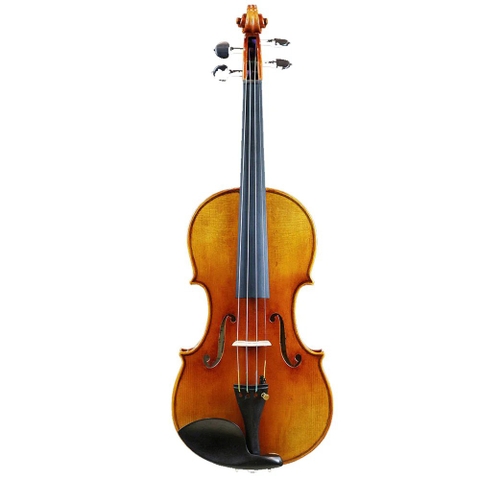 Đàn Violin Scott Cao STV1000