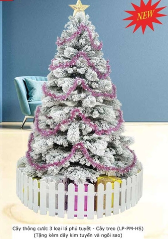 Cây thông phủ tuyết 3 loại lá PM