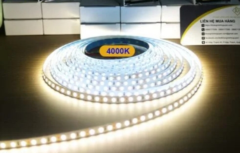 Led Thanh Nhôm cuộn 5m 2835 12V - 120led - Trung Tính 4000K