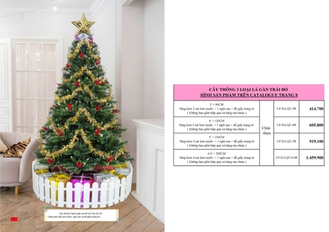 Cây Thông 3 loại lá gắn trá đỏ