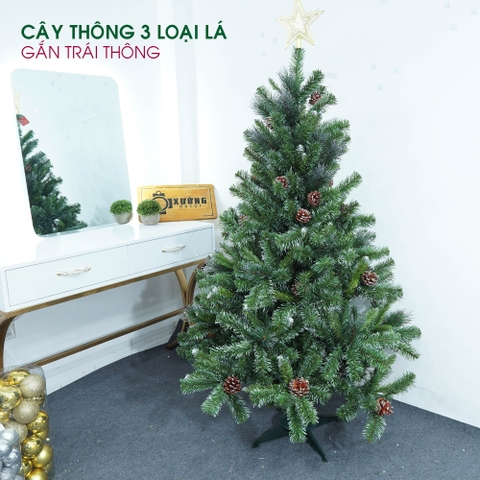Cây thông 3 loại lá gắn trái thông LP-3LLQC