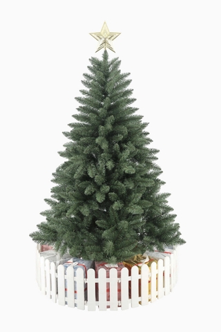 Cây Thông Đầu Nhọn