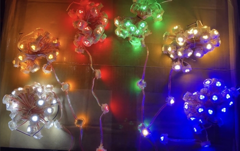 Dây led F20 đơn sắc điện áp 12V 30led/ dây