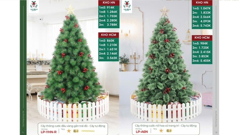Cây thông cước đầu vàng gắn trái đỏ - Cây tự động
