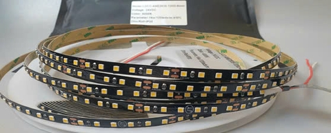 Led dán Cao Cấp HLM 120led 24V cuộn 20m