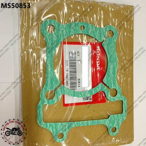 Gioăng chân xy lanh