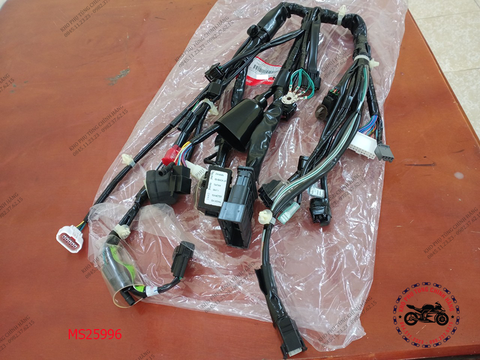 Dây điện chính Winner X .